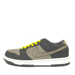 NIKE DUNK LOW PRO B LIGHTNING